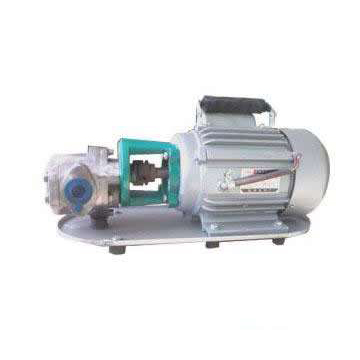 WCB手提式不锈钢齿轮油泵