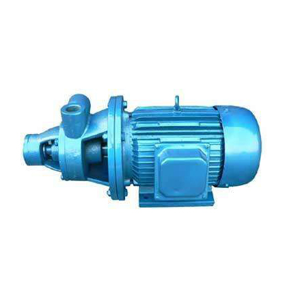 1W型单级漩涡泵